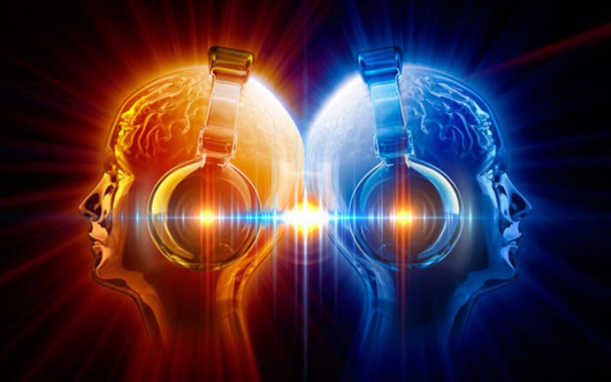 Учёные: в коре человеческого мозга есть музыкальный отдел
