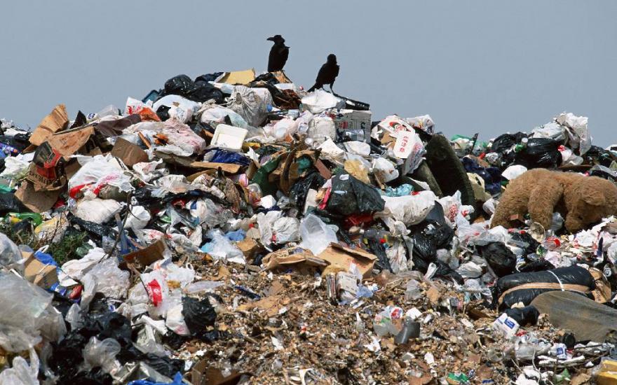 В Зауралье надеются превратить мусор в энергию