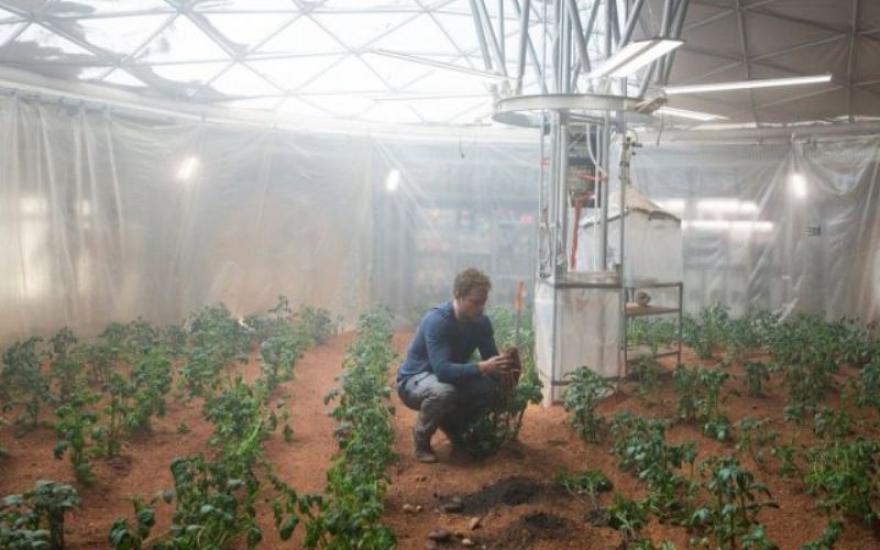 NASA будет выращивать «марсианскую» картошку