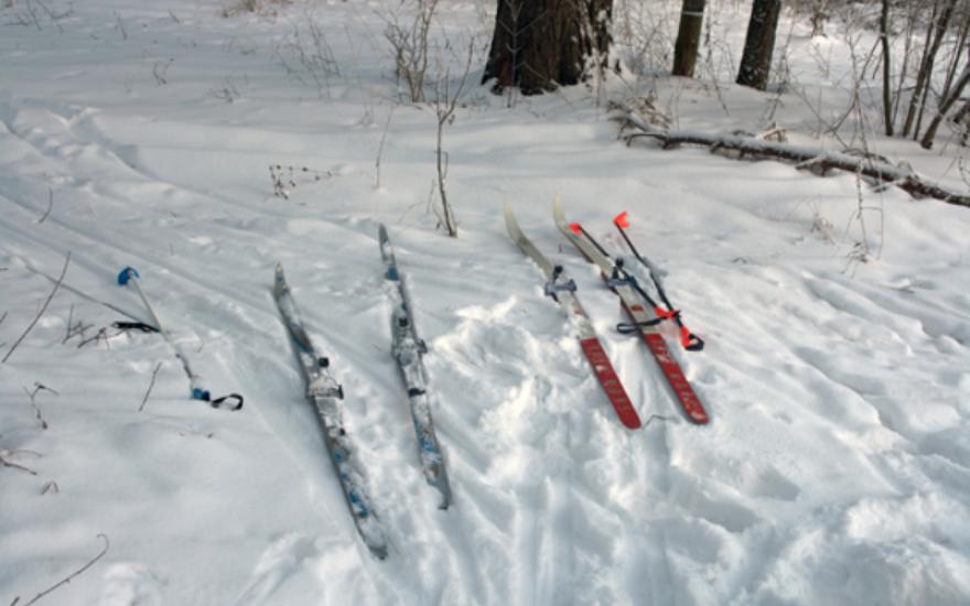 Погоня на лыжах: зауральские полицейские проехали 20 км за преступником