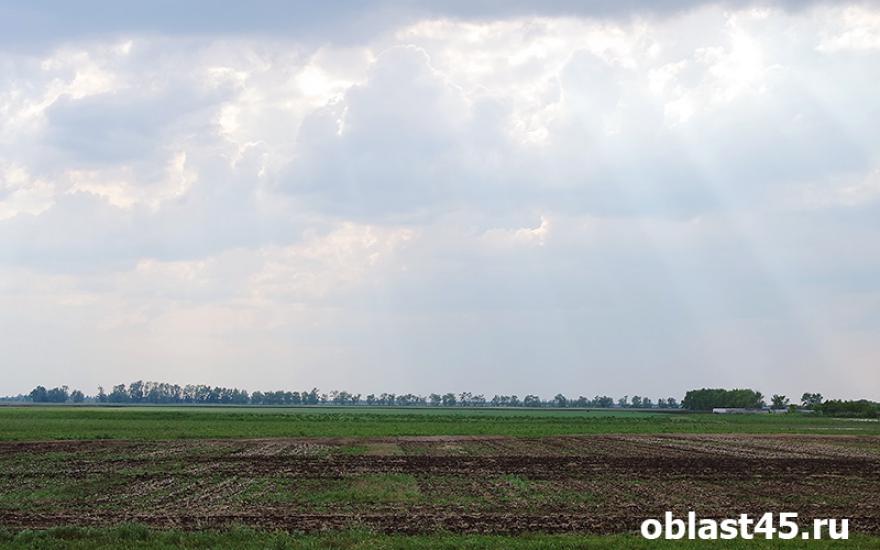 «Надежды на урожай неплохие». В Курганской области подвели итоги весенних полевых работ