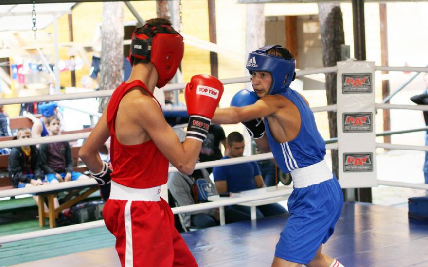 В Курганскую область на традиционный турнир по боксу приедут спортсмены из России и Казахстана