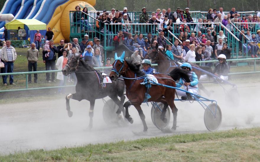 Уральские наездники поспорят за Кубок губернатора Курганской области
