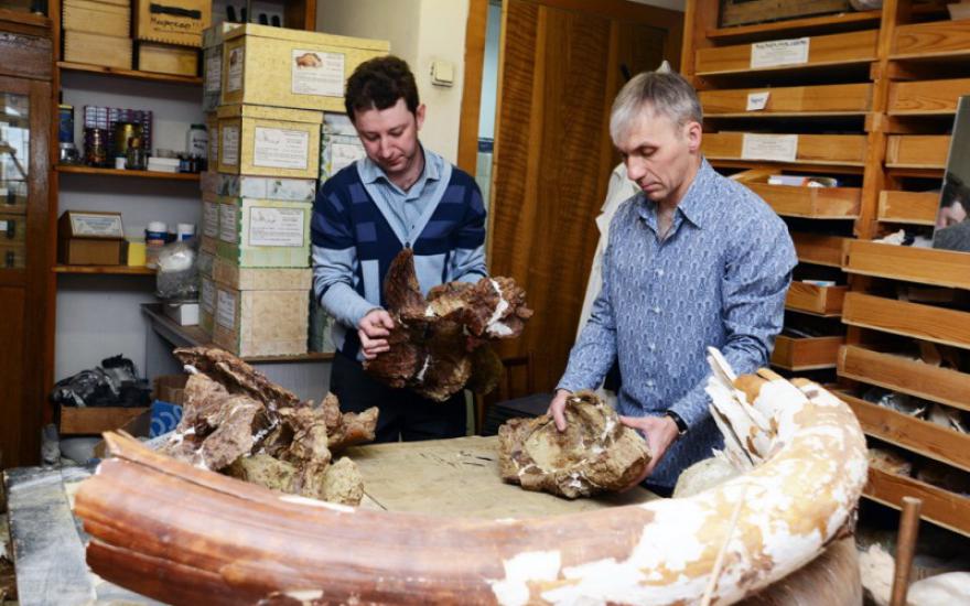 Российские ученые обнаружили в Сибири останки динозавра неизвестного ранее вида