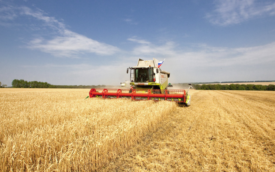 В Курганской области аграрии собрали 1 миллион тонн зерна