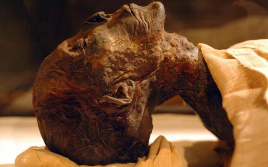 Загадочный сыр обнаружен на груди у мумий
