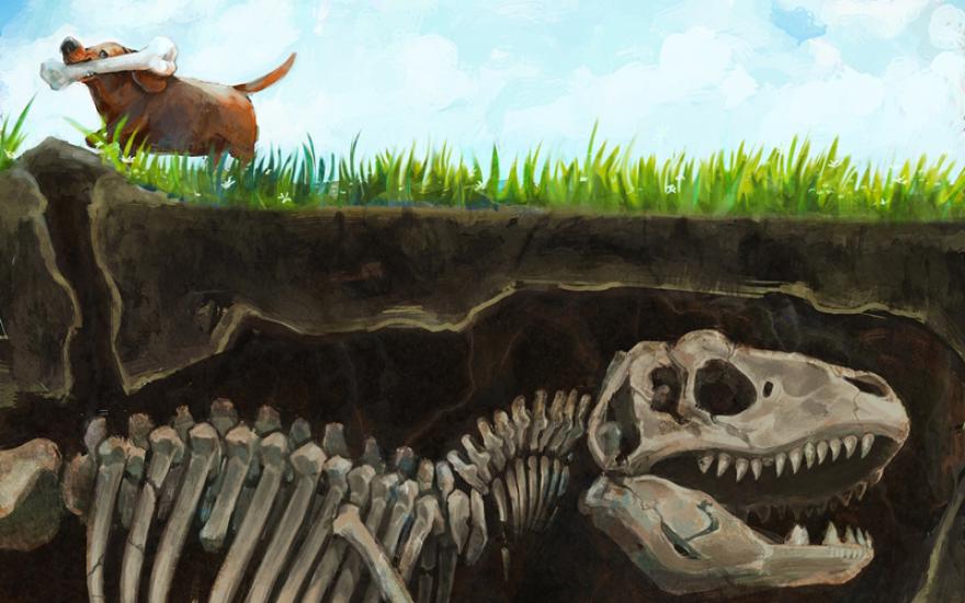 В Аргентине обнаружено «кладбище динозавров»