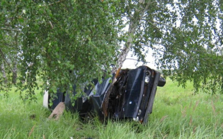 ДТП в Зауралье: водитель без прав врезался в дерево
