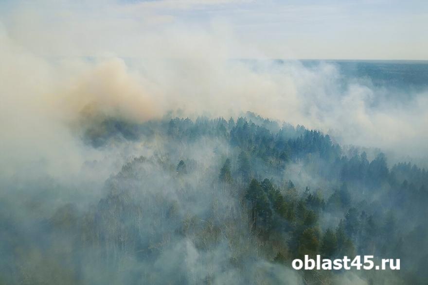 В Курганской области назвали основную причину ландшафтных пожаров