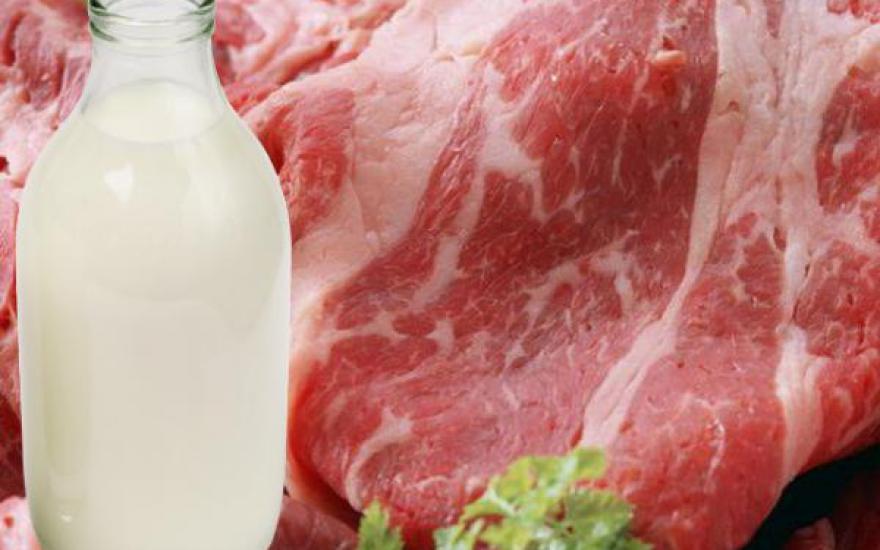 В Курганской области у специалистов появились вопросы к качеству молока и мяса