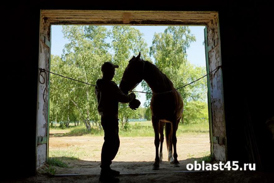 По коням: зауральские казаки отправятся в Монголию