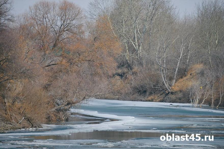 В Курганской области фиксируют подъём уровня воды на крупнейших реках