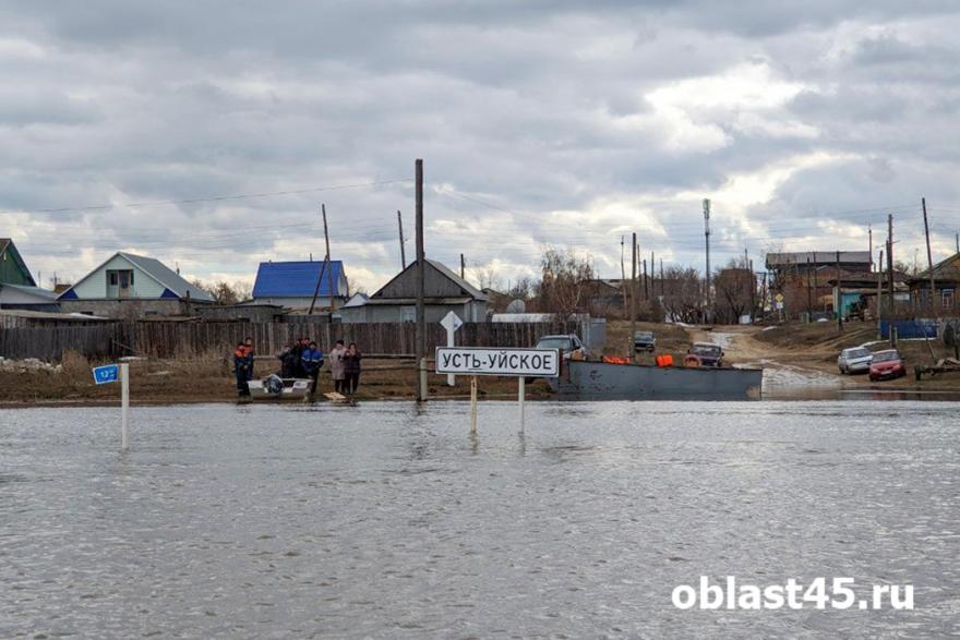 Глава МЧС России Куренков оценил масштаб паводка в Курганской области