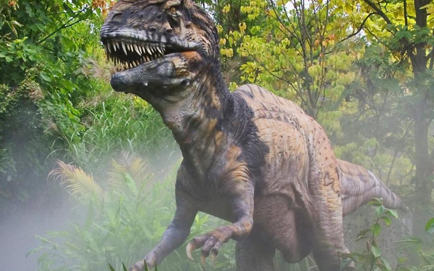 Найдены останки неизвестной рептилии, жившей на Земле до динозавров
