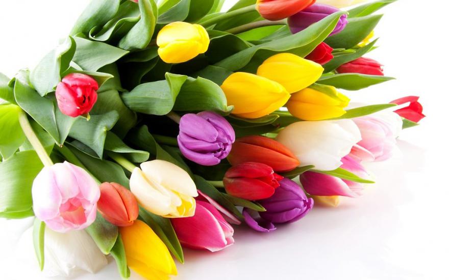 В какую сумму обойдутся цветы курганским мужчинам 8 марта?