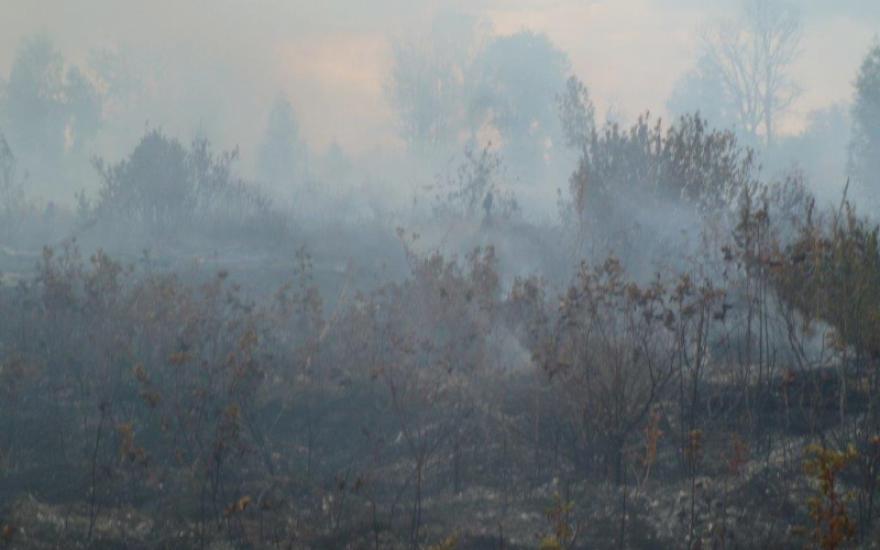 Пожар в Лебяжьевском районе едва не сжег три населенных пункта
