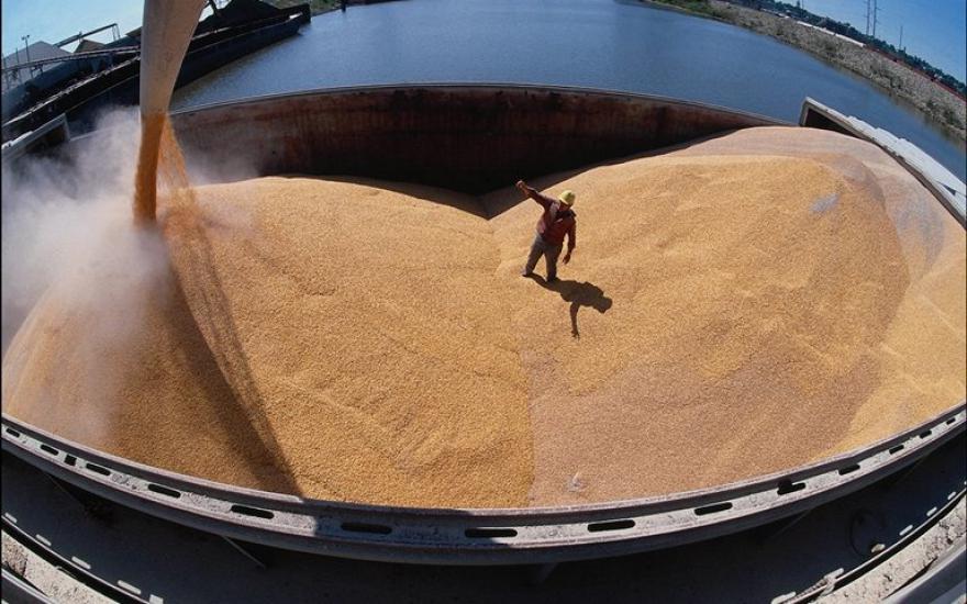 Правительство РФ отменило экспортную пошлину на зерно