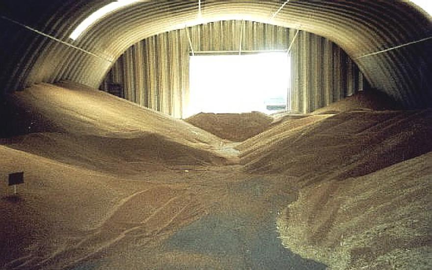 Аграрии проверяют зернохранилища: мало ли что случится