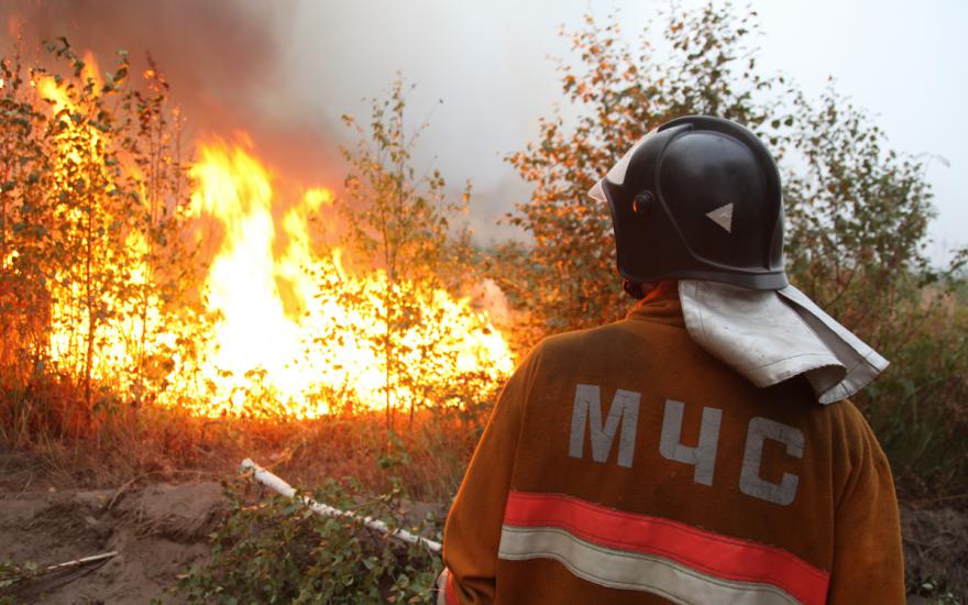 В Курганской области летом снизилось число лесных пожаров. Причина – холодная погода
