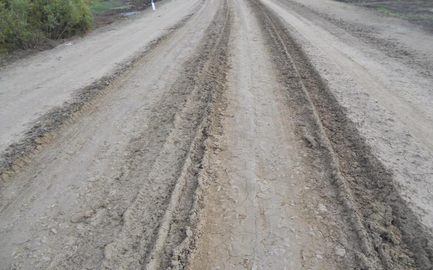 Лишние траты? В Зауралье ОНФ выявил завышение цены на строительство дороги в деревне Воробьи
