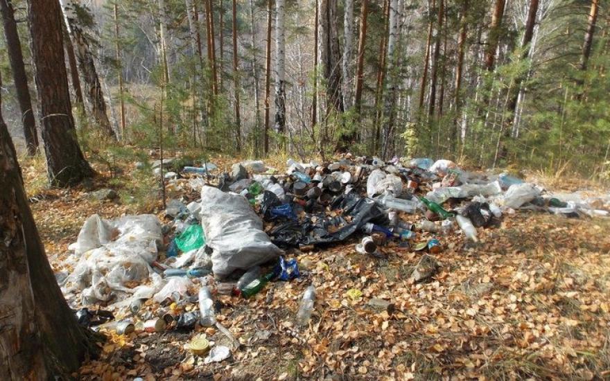  Губернатор потребовал от экологов очистить леса от мусора: «Пройти невозможно»