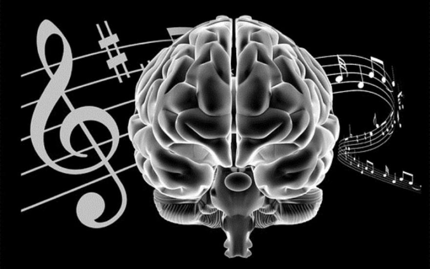 Человеческие глаза способны «слушать» музыку