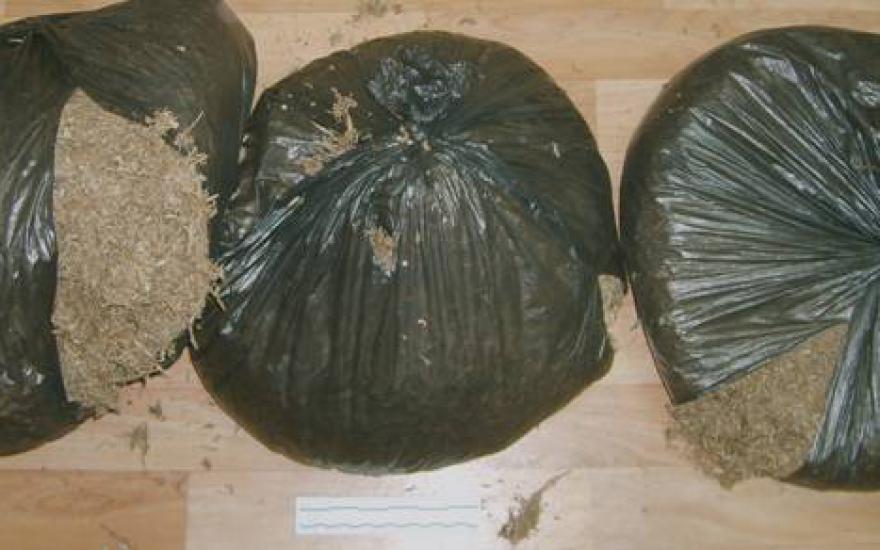 Курганские наркополицейские изъяли из незаконного оборота 2 кг марихуаны