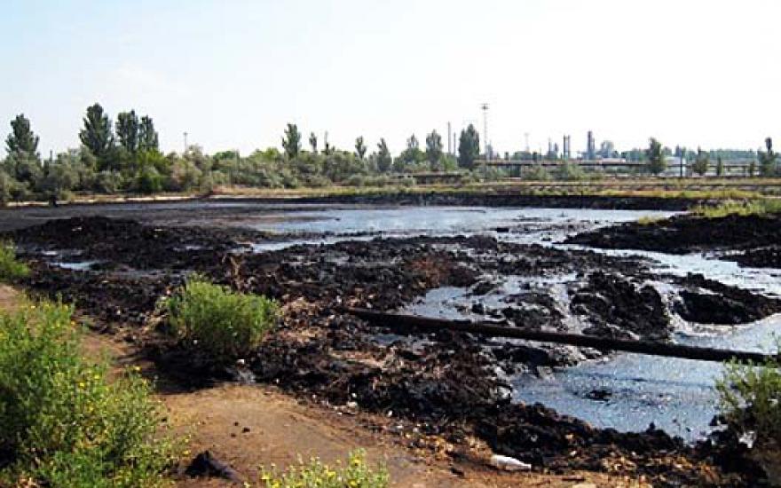 Курганское предприятие загрязняло почву нефтепродуктами