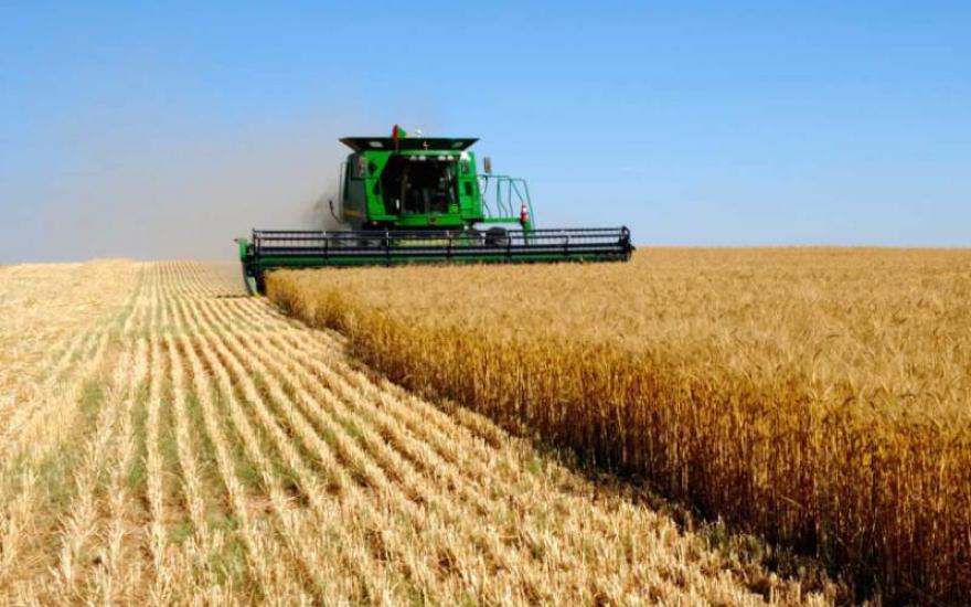 Аграриям Курганской области в 2016 году выделят 1 миллиард из федерального бюджета