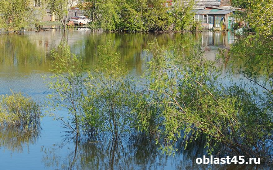 Паводок-2016: уровень воды в реках Курганской области уменьшается