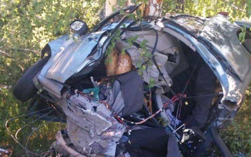 Страшная авария в Зауралье: иномарка врезалась в дерево. Три человека погибли