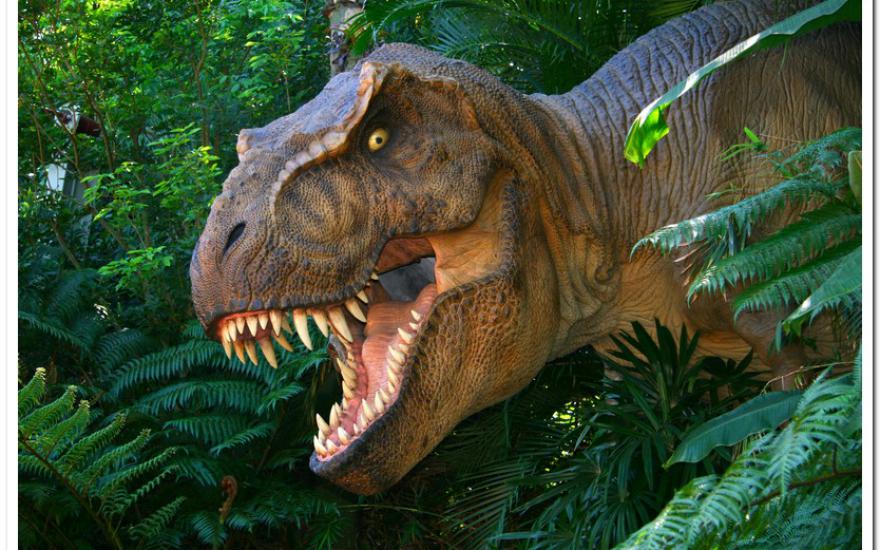 Российские ученые открыли новый вид динозавров из Западной Сибири