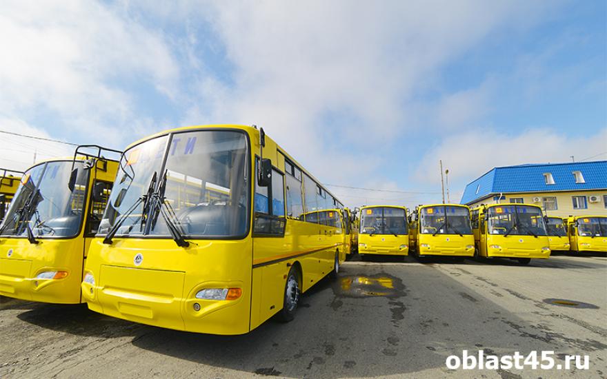 Российские школьники будут ездить на курганских автобусах