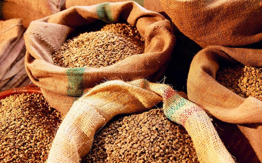 Хозяйства Курганской области перевыполнят план по засыпке семян