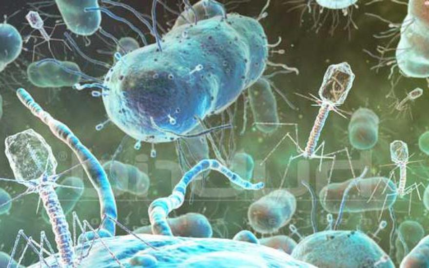 Победить инфекцию без антибиотиков вскоре смогут российские ученые