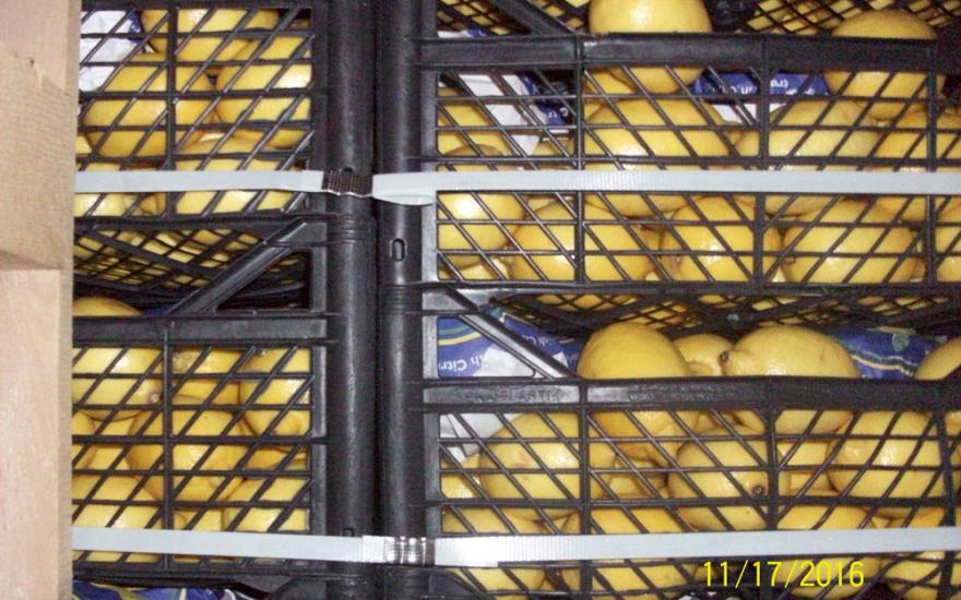 В Курганскую область пытались провезти 19 тонн лимонов и гранатов сомнительного происхождения