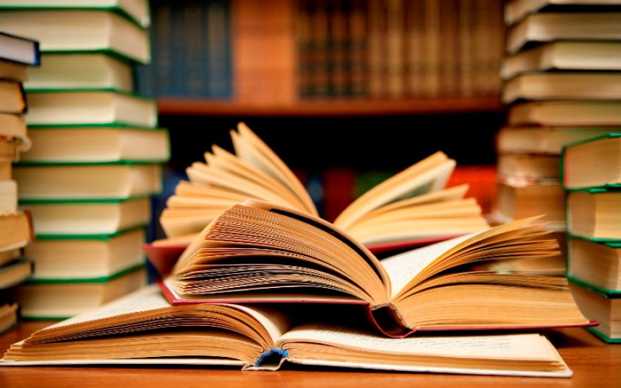 Закажите книгу, не выходя из дома: в библиотеках Кургана появилась новая услуга