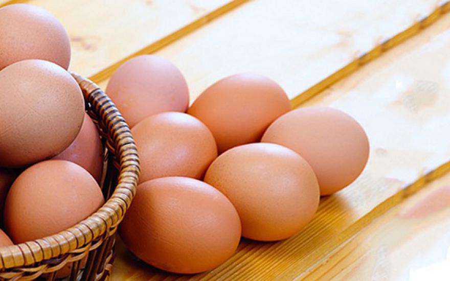 В Курганской области приставы за долги арестовали более 7 тысяч куриных яиц