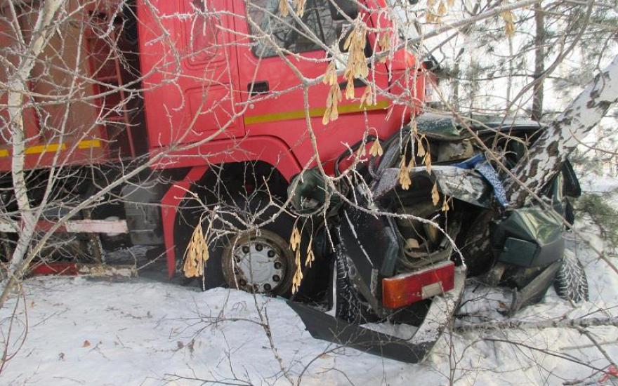 В Зауралье за сутки от столкновения с грузовиками погибли два человека