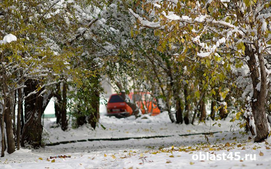 В России за парковку на газонах предлагают штрафовать на 5 тысяч рублей