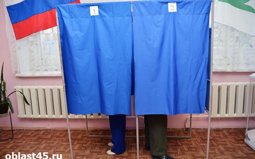 В Курганской области в этом году на выборах введут QR-коды.