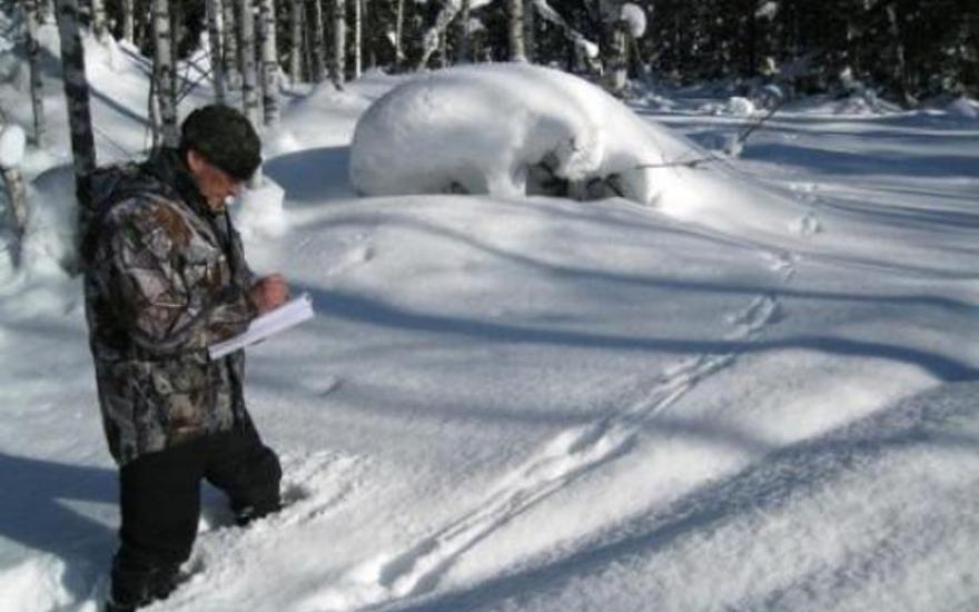В Зауралье завершился зимний маршрутный учет охотничьих ресурсов