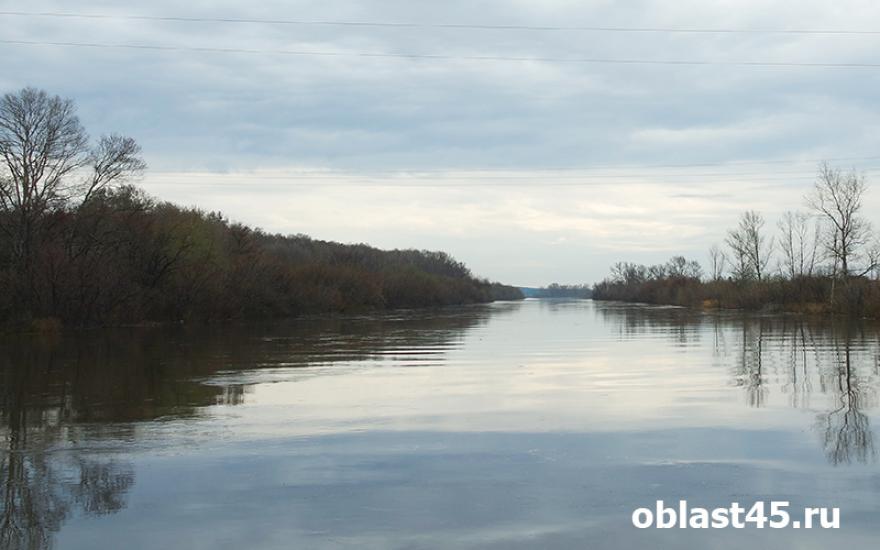 В Шадринске уровень воды в Исети может дойти до 4 метров
