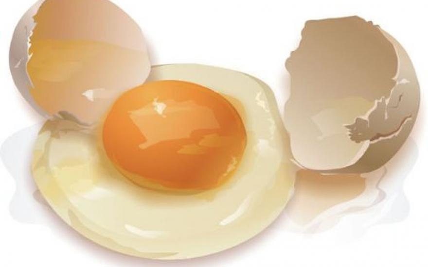 УФАС выяснило причину удорожания куриных яиц в Зауралье