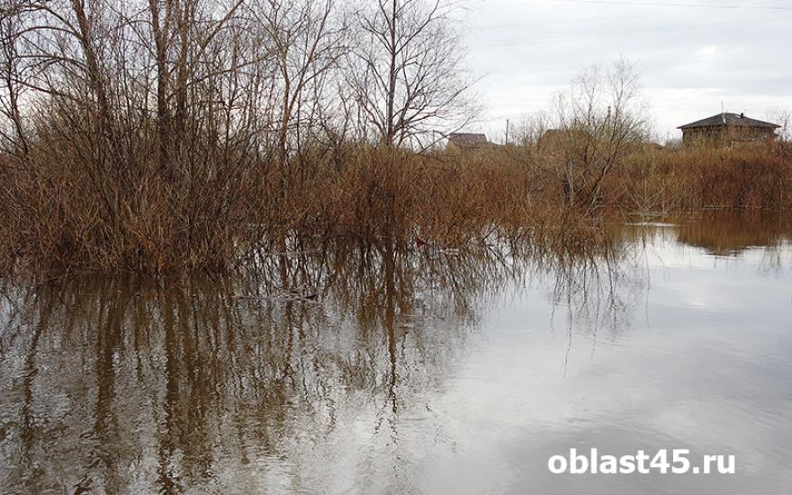 За сутки уровень воды в Тоболе поднялся у Кургана и Звериноголовского