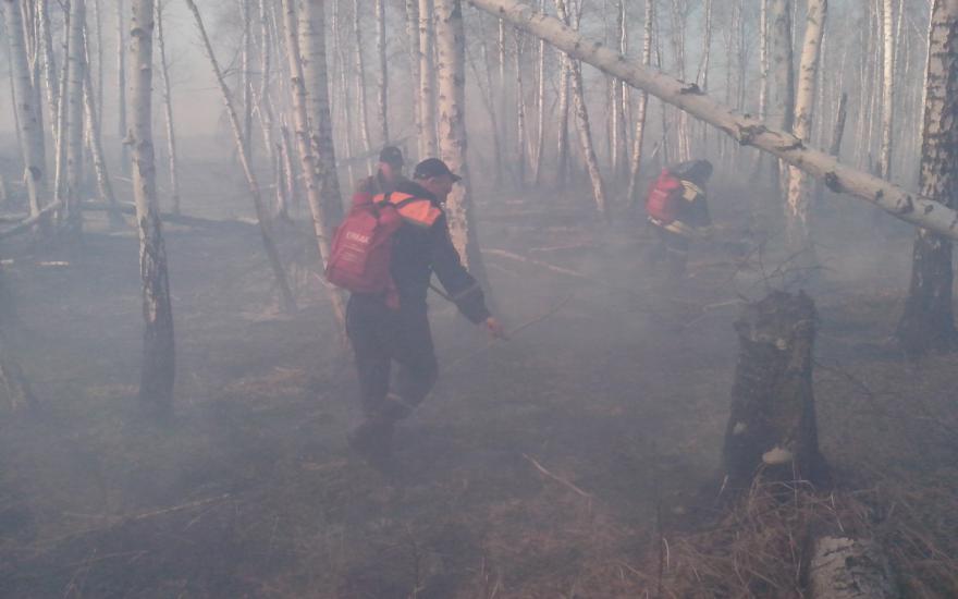 В Катайском районе из-за пожаров введен режим ЧС