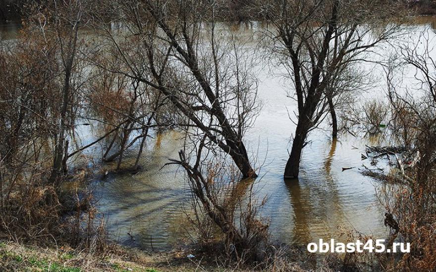 Река Тобол у Кургана выросла до 635 сантиметров.