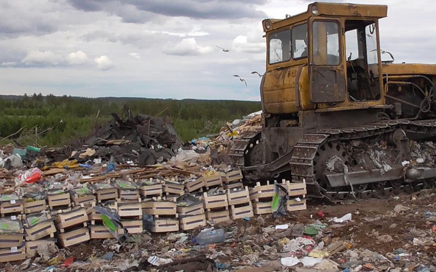 В Курганской области уничтожили 843 кг свежих груш