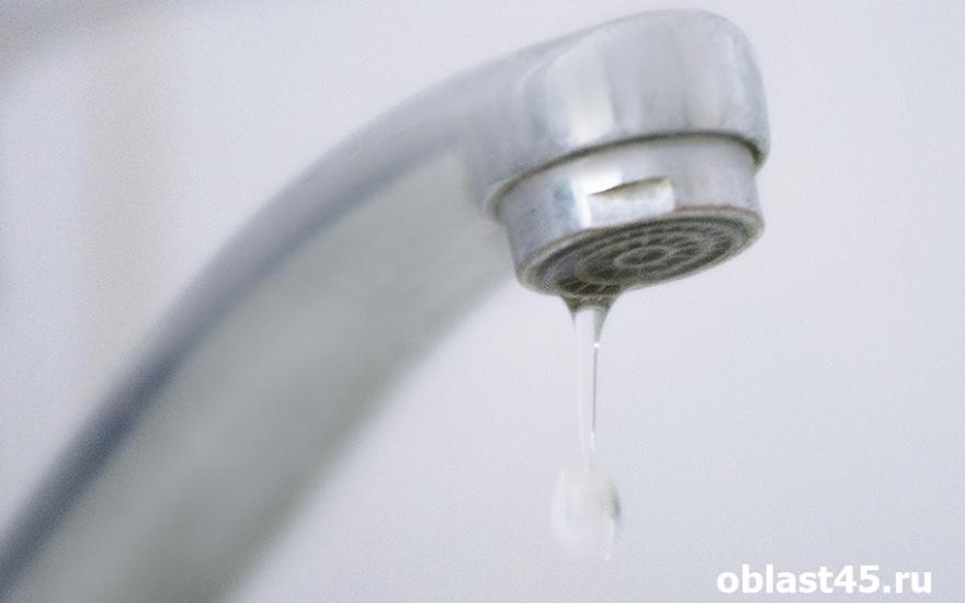 В Кургане «Водный союз» проверил качество питьевой воды