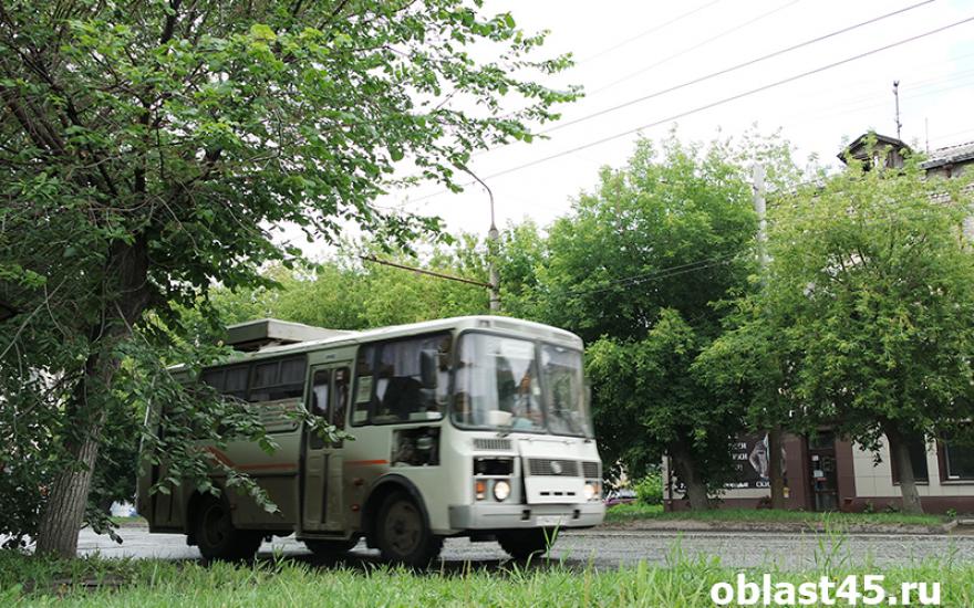 Зауральские полицейские начали массовые проверки пассажирских автобусов